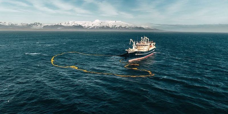 Read more about the article 2100-tonne capelin trip