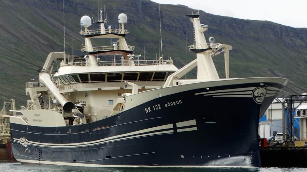 Read more about the article Mackerel season coming to an end – herring next