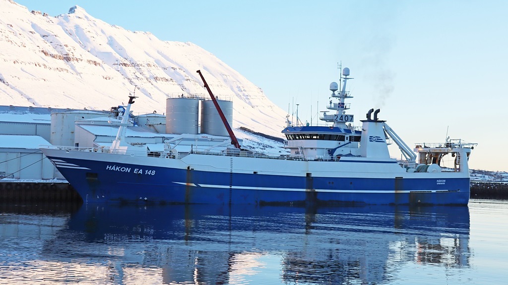 Read more about the article Season in the balance – as capelin marks show up