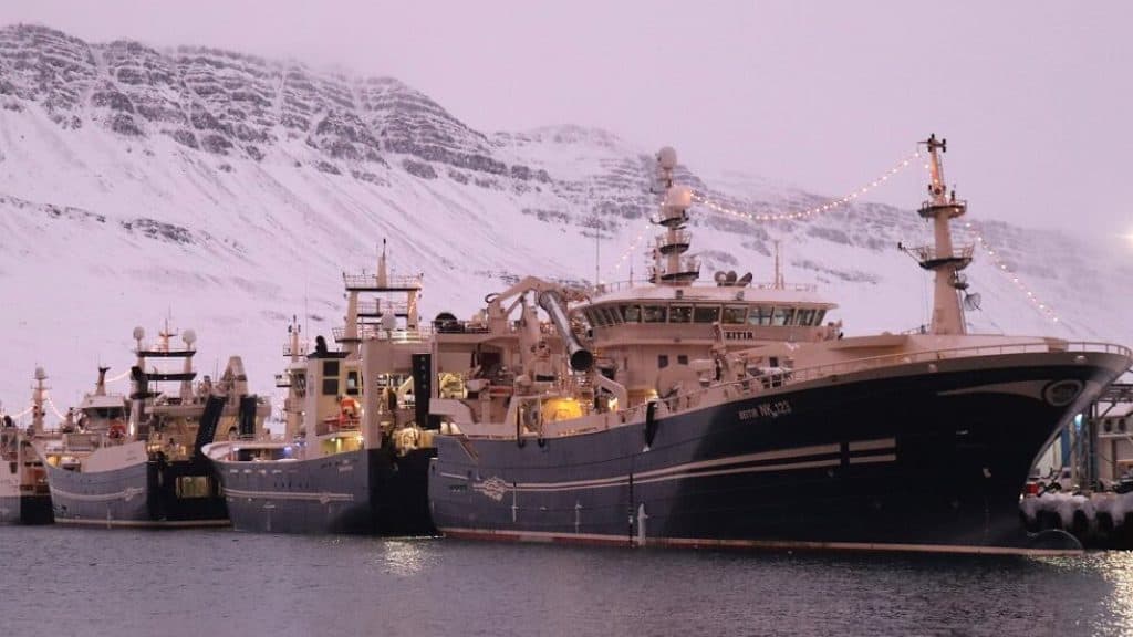 Read more about the article Síldarvinnslan fleet starts the year on blue whiting