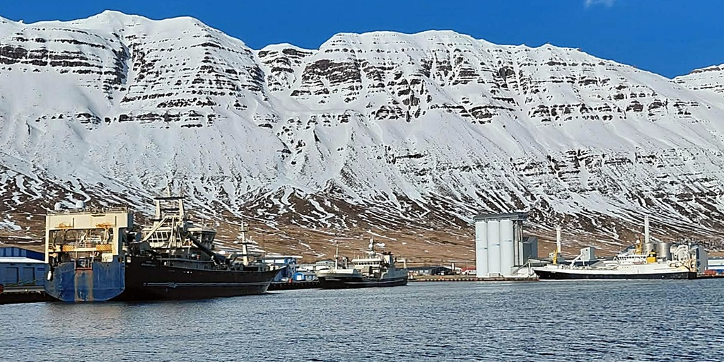 Read more about the article Capelin roe season in full swing