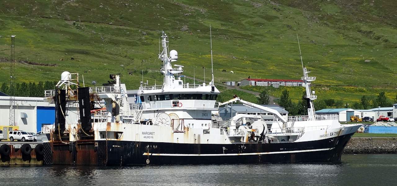 Read more about the article First fish of the season landed in Neskaupstaður