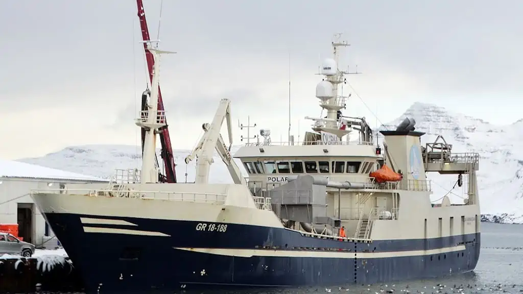 Read more about the article Iceland’s pelagic fleet on blue whiting