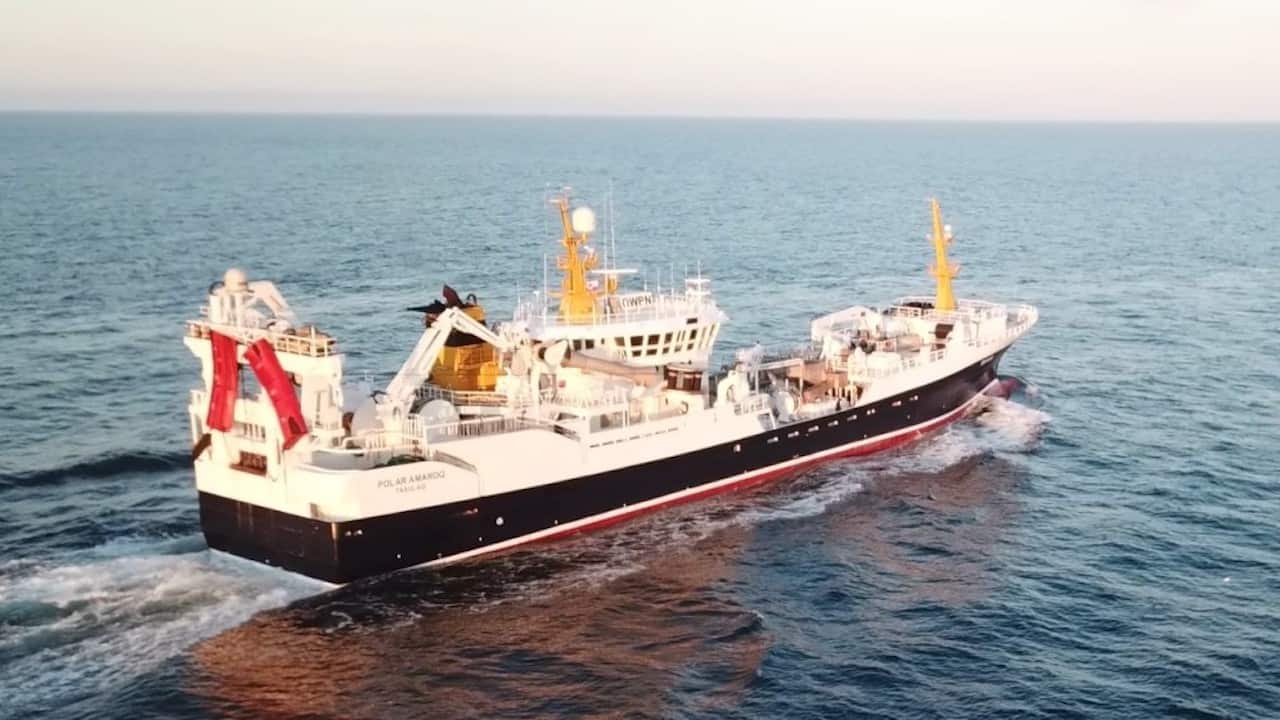 Read more about the article Optimistic for winter capelin season