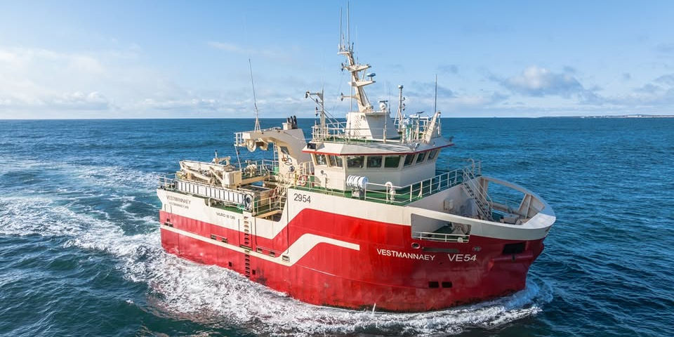 Read more about the article A week of full fishrooms