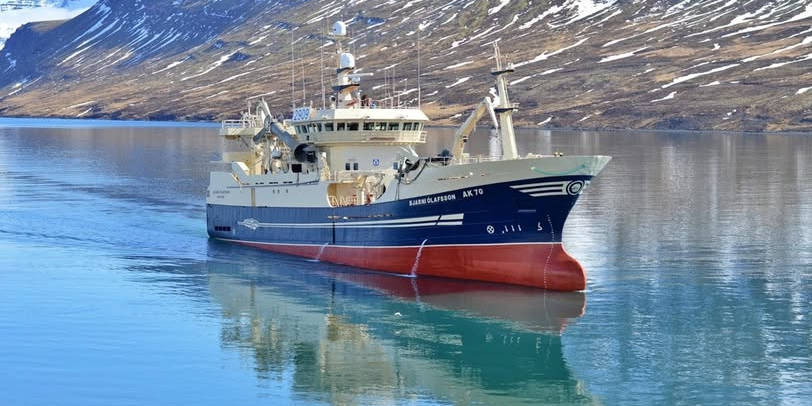 Read more about the article Back on blue whiting