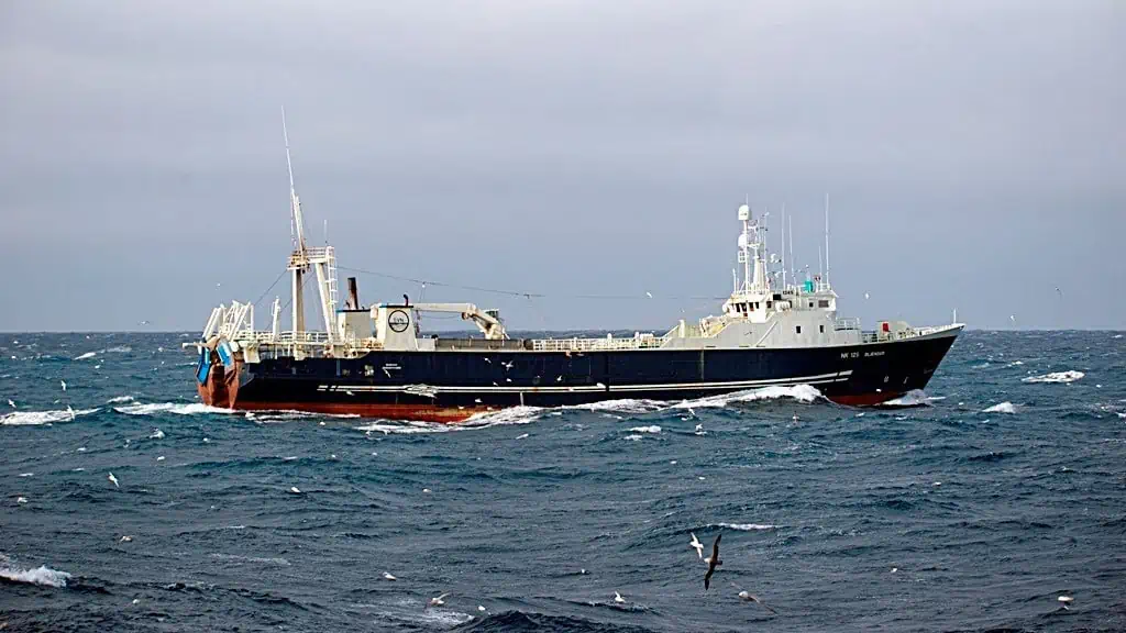 Read more about the article Big trip for freezer trawler