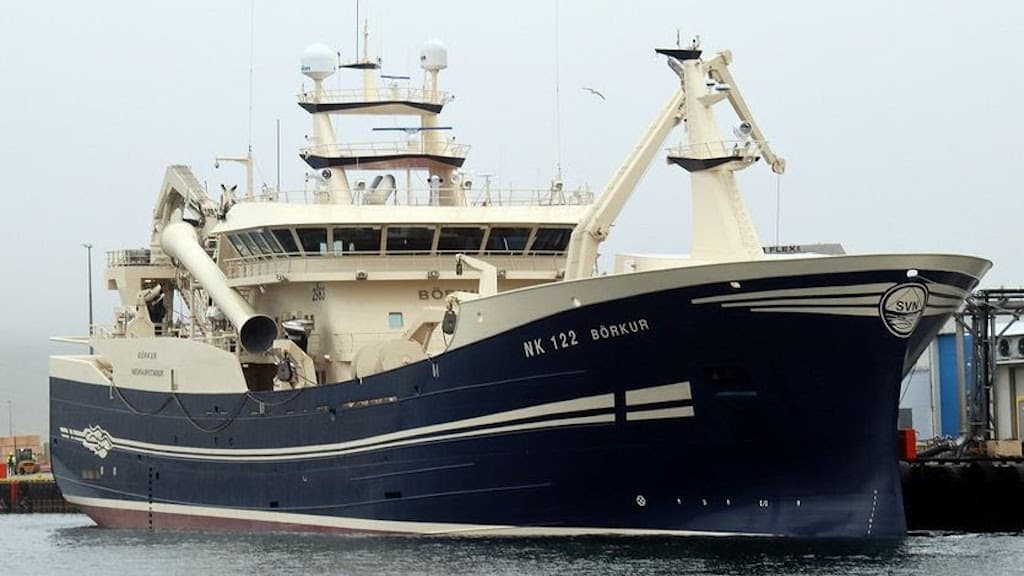 Read more about the article Looking forward to the herring season