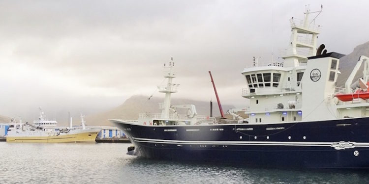 Pelagic vessels Bjarni Ólafsson and Börkur have now switched to herring. Photo: SVN/Hákon Ernuson - @ Fiskerforum