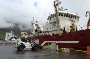 Landing frozen mackerel from Vilhelm Thorsteinsson - @ Fiskerforum