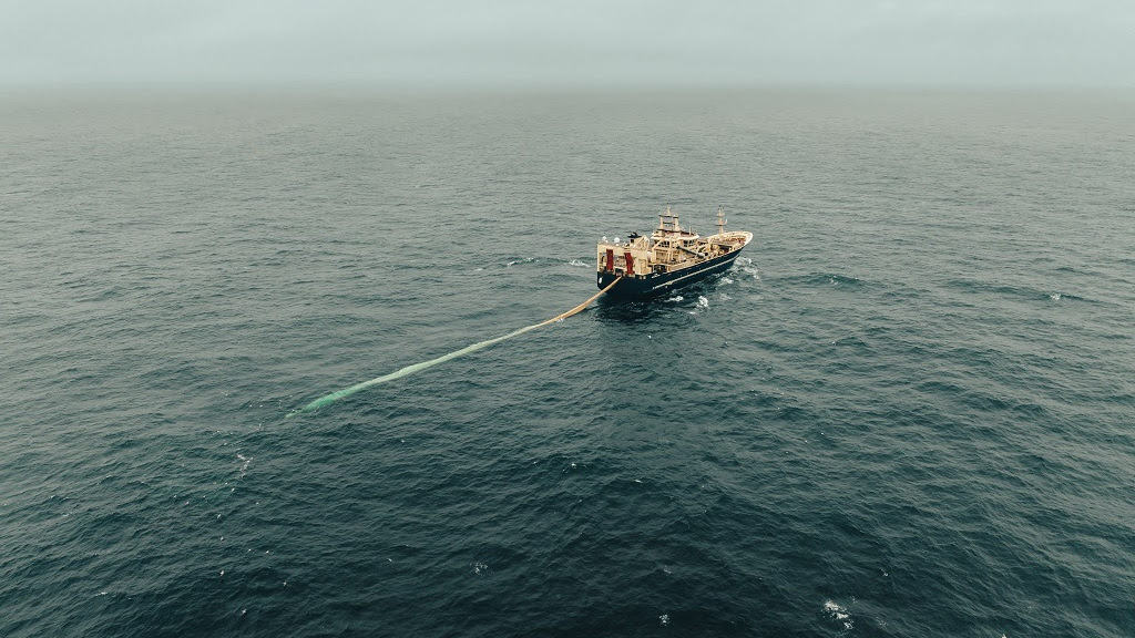 Read more about the article Mackerel fishery heads for the far north