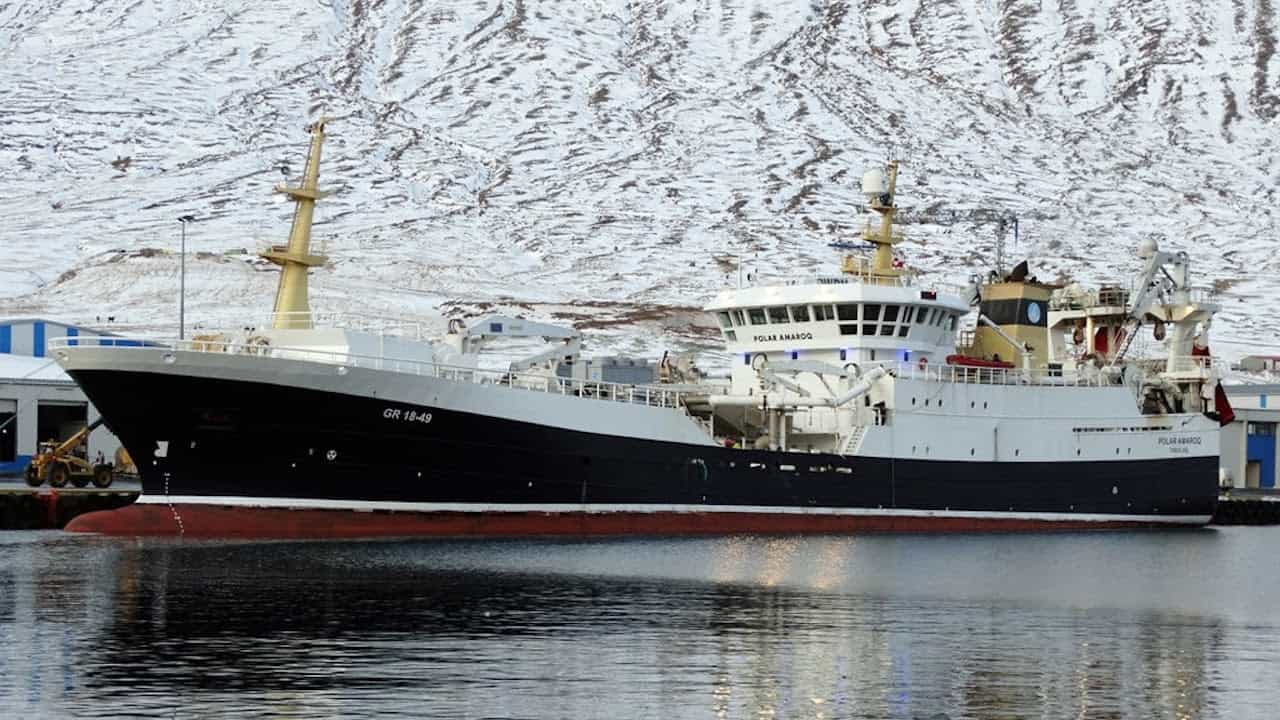 Read more about the article Steady fishing for capelin over Christmas