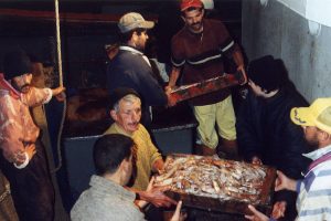 Landing fish at a Moroccan port - @ Fiskerforum