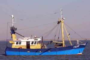 TX 25 –  EVERDINA – ©FiskerForum - Foto: texel