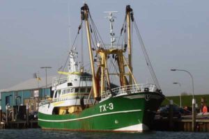 TX 3 –  BIEM-JAN – ©FiskerForum - Foto: texel