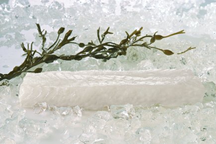 Read more about the article August Sees Historically High Codfish Exports