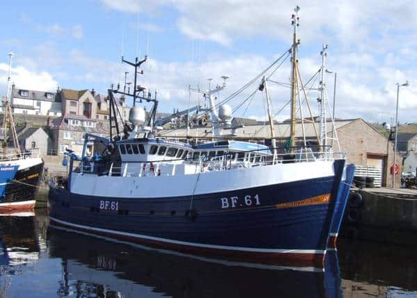 Read more about the article Fish Prices Landings For Scotland