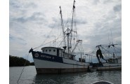 Read more about the article Belize Bans Trawling