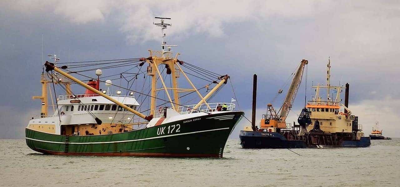 Read more about the article Stranded beamer becomes seaside spectacle