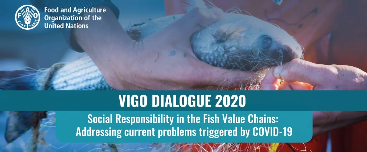 Read more about the article Vigo Dialogue 2020: social responsibility in the time of Covid-19