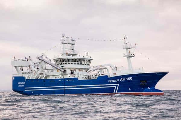 Read more about the article Capelin roe season underway