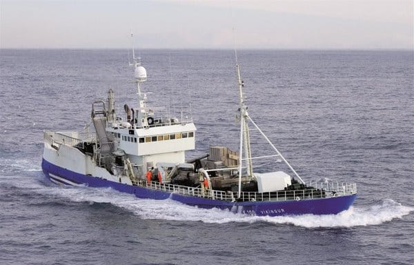 Read more about the article Capelin news at winter festival