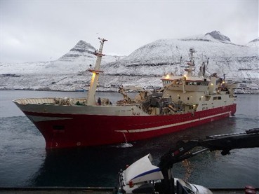 Read more about the article Caplin purse seine net a success!