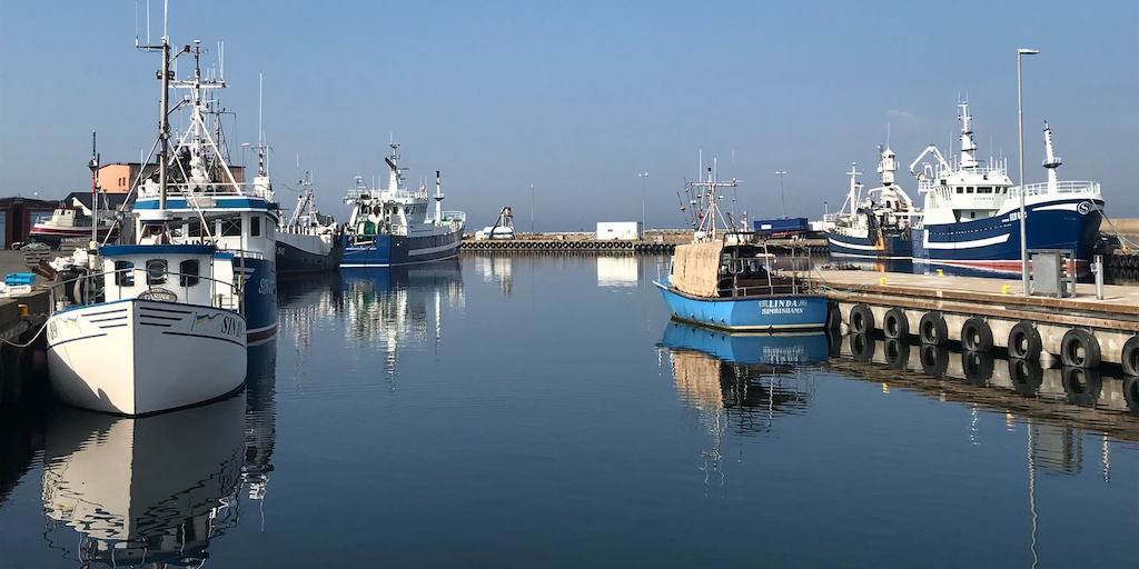 Read more about the article Trawl limit must be based on science