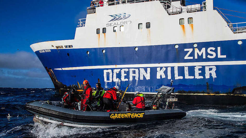 Read more about the article Greenpeace putting its people at serious risk