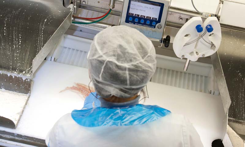 Read more about the article Marel to Supply VAP Section of New Bakkafrost Salmon Plant
