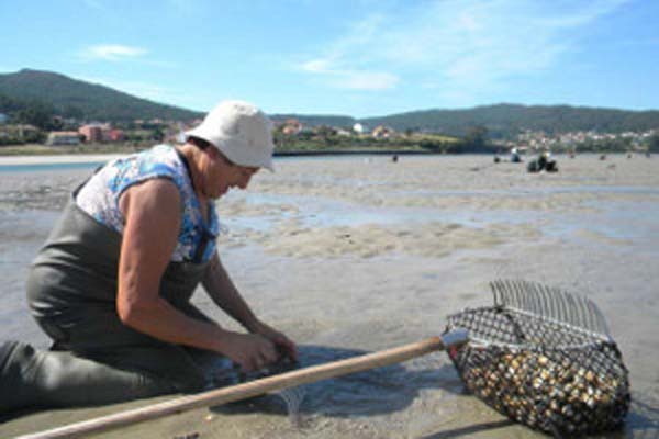 Read more about the article Are there women in fisheries