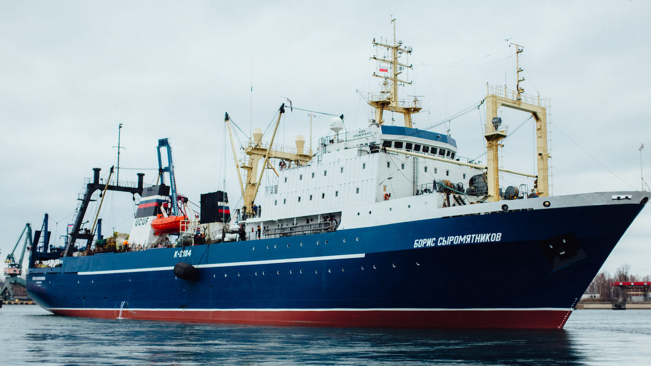 Read more about the article Russian fleet’s first capelin landings